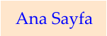 Ana Sayfa